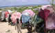 Les personnes déplacées trouvent souvent refuge dans des camps de fortune tels que celui-ci, SOMALIA, october 2009